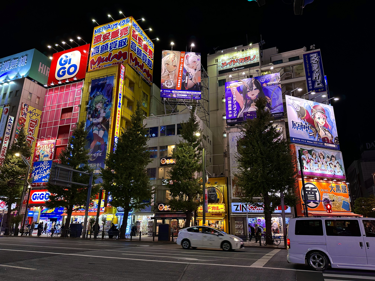 Akihabara Night
